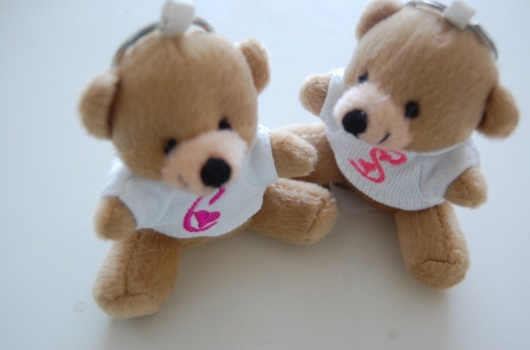 Knuffelbeer sleutelhanger