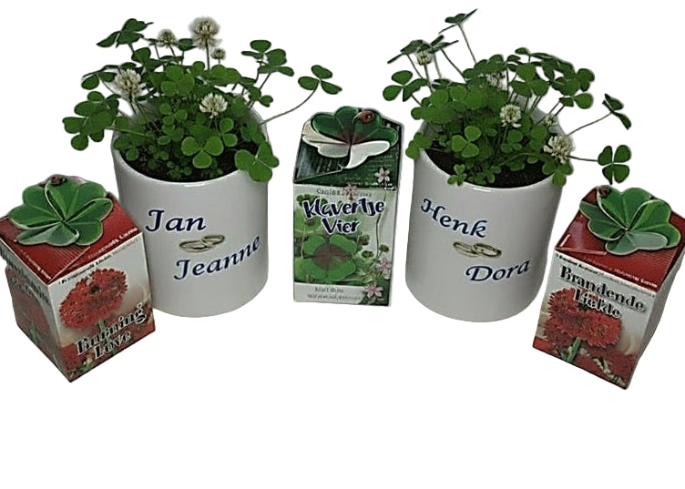 Trouwdag cadeau bloempot