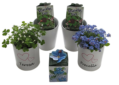 Bloempot met Naam – Origineel Bedankt Cadeau - Gepersonaliseerd Cadeau - In-house Geborduurd