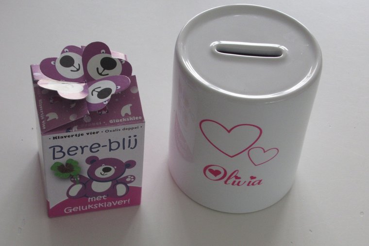 Spaarpot met Naam en Afbeelding – Bedankt Cadeau - Gepersonaliseerd Cadeau - In-house Geborduurd